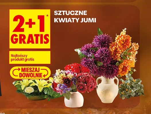 Sztuczne kwiaty Jumi promocja w Biedronka