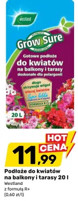 Podłoże do kwiatów na balkony i tarasy Westland promocja w Bricomarche