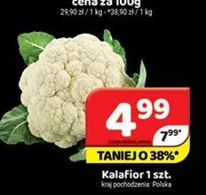 Kalafior polski promocja w Delfin