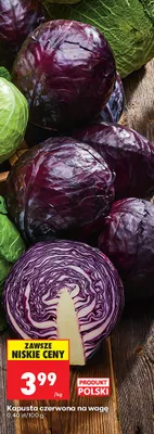 Kapusta czerwona na wagę promocja w Biedronka