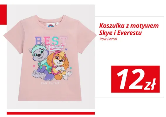 Koszulka dziecięca z motywem Skye i Everestu Paw Patrol promocja w KiK