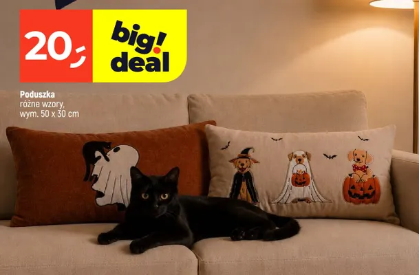 Poduszka 50x30 cm promocja w Dealz