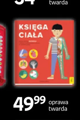 Książka Księga ciała Wilga promocja w Empik