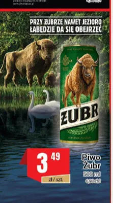 Piwo Żubr promocja w Premium Nasz Sklep