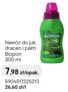 Nawóz do juk. dracen i palm promocja w Castorama