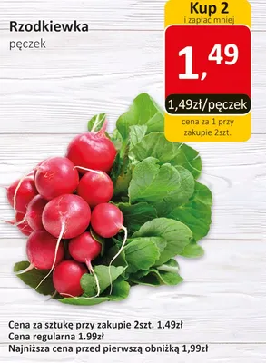 Rzodkiewka promocja w Market Point