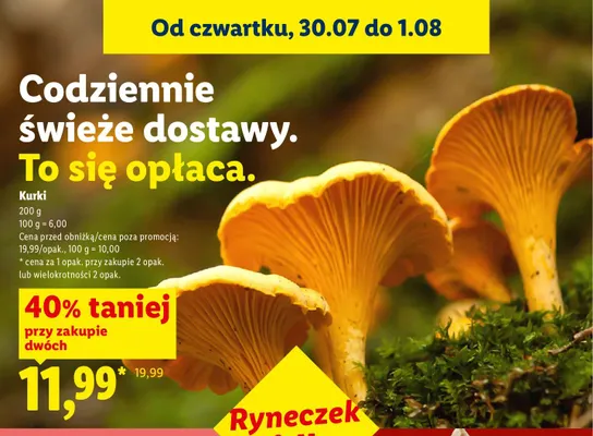Kurki promocja w Lidl