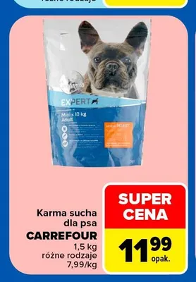 Karma sucha dla psa Carrefour Companino Experta promocja w Carrefour Market