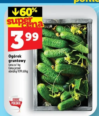 Ogórek gruntowy promocja w TOPAZ