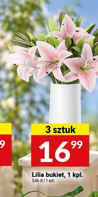 Lilia bukiet promocja w Twój Market