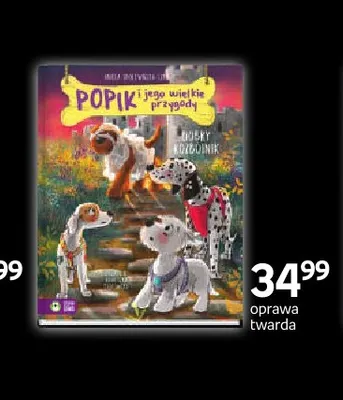 Książka Popik i jego wielkie przygody Dobry rozbójnik Zielona Sowa promocja w Empik