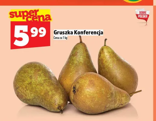 Gruszka Konferencja promocja w TOPAZ