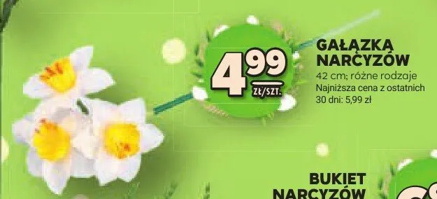 Gałązka narcyzów różne rodzaje promocja w Stokrotka