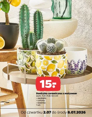 Doniczka ceramiczna z motywem lawendy promocja w Netto
