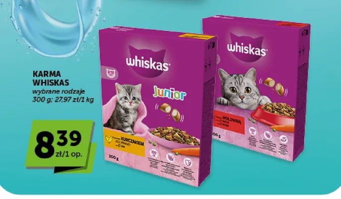 Sucha karma dla kotów Whiskas Junior z kurczakiem promocja w Groszek