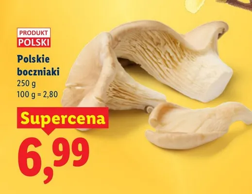 Boczniaki promocja w Lidl