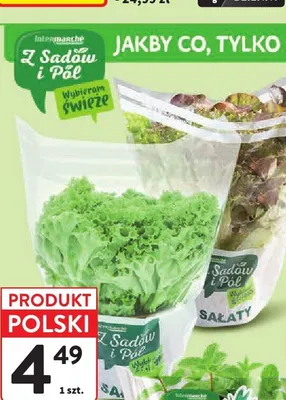 Sałata multicolor Z Sadów i Pól promocja w Intermarche