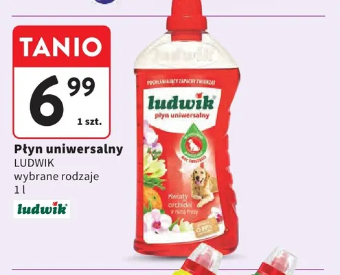 Płyn uniwersalny Ludwik promocja w Intermarche