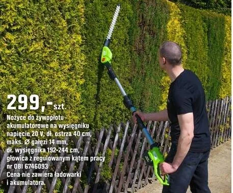 Nożyce do żywopłotu akumulatorowe na wysięgniku promocja w OBI
