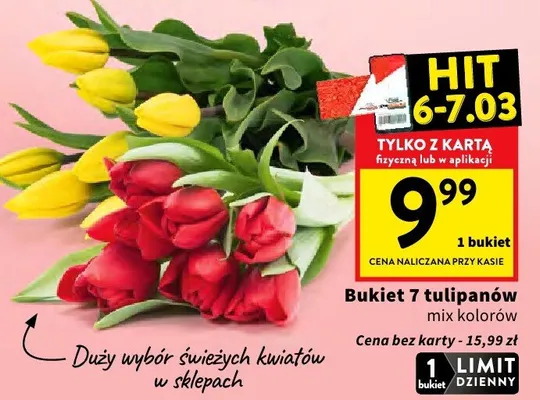 Bukiet 7 tulipanów mix kolorów promocja w Intermarche