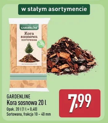 Kora sosnowa promocja w Aldi