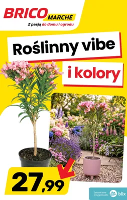 Oleander promocja w Bricomarche