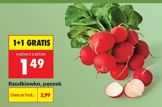 Rzodkiewka promocja w Biedronka