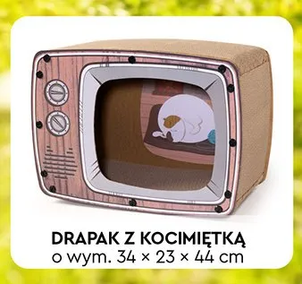 Drapak z kocimiętką Activ Pet promocja w Biedronka