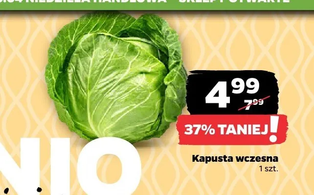 Kapusta wczesna Netto promocja w Netto