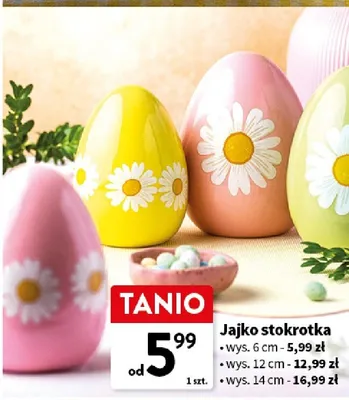 Jajko stokrotka promocja w Intermarche