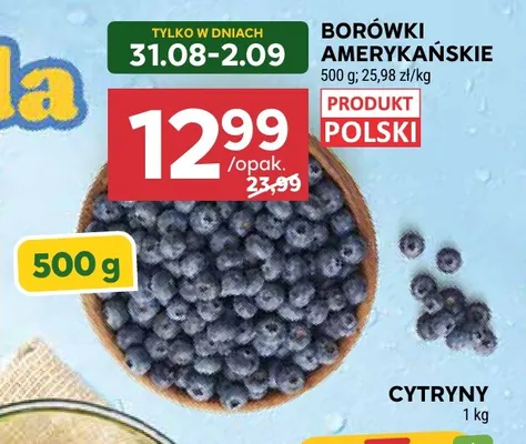 Borówki amerykańskie polskie promocja w Stokrotka