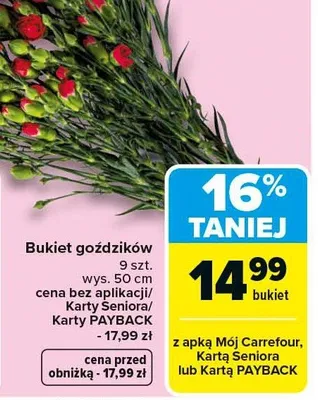 Bukiet goździków promocja w Carrefour