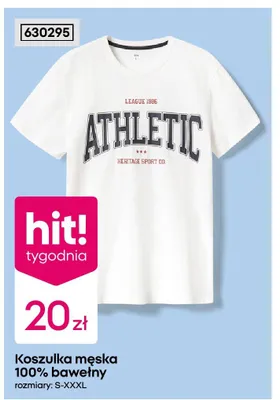 Koszulka męska 100% bawełny promocja w Pepco