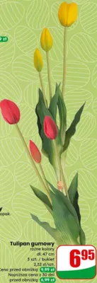 Tulipan gumowy promocja w Dino