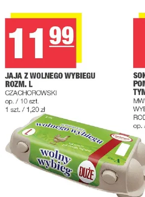 Jajka kurze z wolnego wybiegu rozm. L Czachorowski promocja w SPAR
