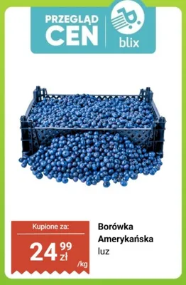 Borówki amerykańskie promocja w Dino