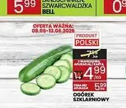Ogórek szklarniowy polski promocja w Wafelek