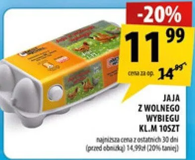 Jaja z wolnego wybiegu KLM 10szt promocja w Arhelan