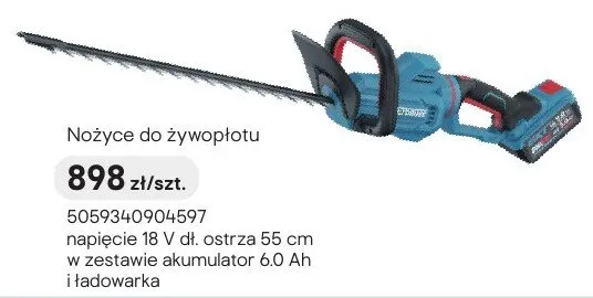 Nożyce do żywopłotu promocja w Castorama
