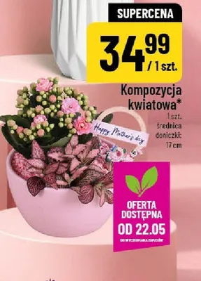 Kompozycja kwiatowa średnica doniczki 17cm promocja w POLOmarket