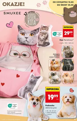 Poduszka dekoracyjna promocja w Biedronka