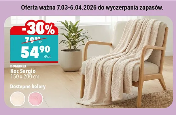 Koc Sergio promocja w Biedronka