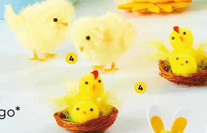 Zestaw kurczaczków promocja w Biedronka