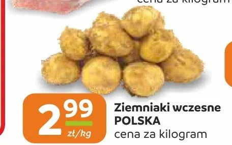Ziemniaki do pieczenia polskie promocja w Społem Częstochowa