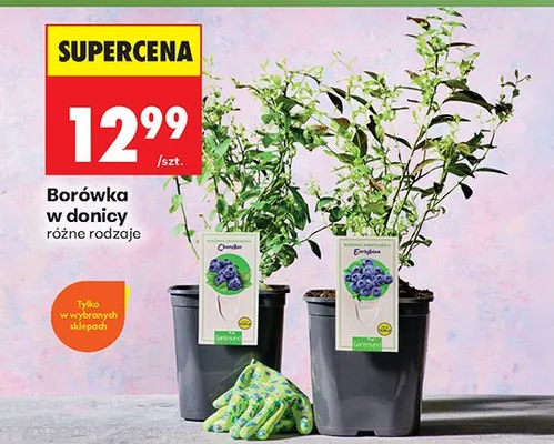 Od poniedziałku, strona 40 promocja w Biedronka