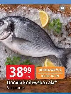 Dorada królewska cała Scapmaree promocja w Leclerc