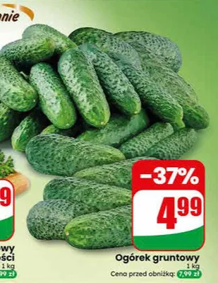 Ogórek gruntowy Dino promocja w Dino