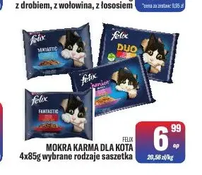 Mokra karma dla kota Felix promocja w Tomi Markt