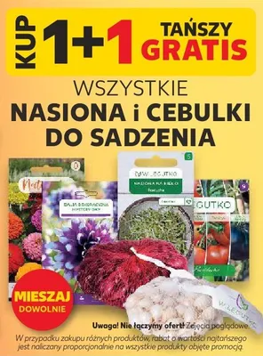 Nasiona i cebulki do sadzenia promocja w Kaufland