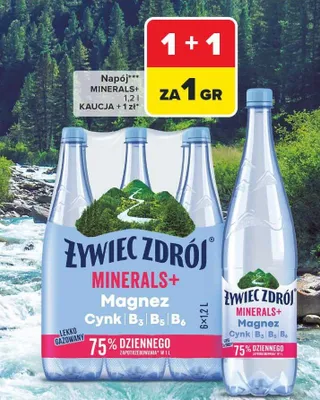 Woda Minerals+ Magnez Cynk B3 B5 B6 lekko gazowana promocja w Carrefour